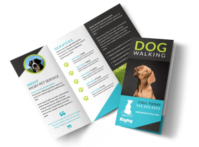 Main Beautiful Dog Walking    Image