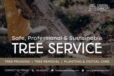 Free Estimates Tree Service  1ejdbp2oeh  Side 1 Image