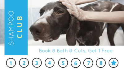 Pet Shampoo Club   Side 1 Image