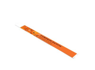 Main Pumpkin Patch   Image