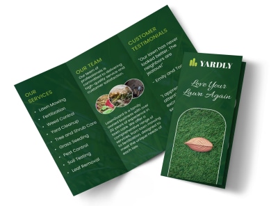 Main Lawn Care   bkzo39azwl  Image