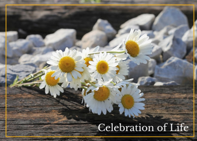 Celebration Of Life   zsn4fdhgv7 Side 1 Image