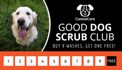 Dog Grooming   8j6x3h6vop Side 1 Image