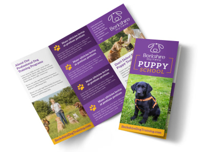 Main Dog Training    fyc9dtnrsq Image