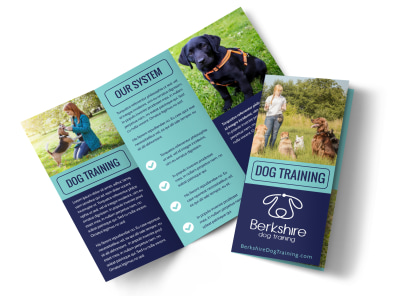 Main Dog Training    n9bqyjfhr2 Image