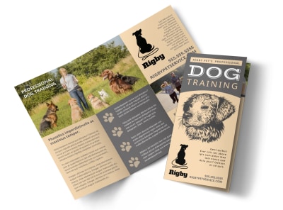 Main Dog Training    ot85zfsaom Image