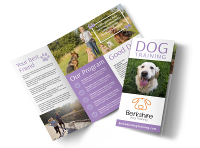 Main Dog Training    zi6bbkwan3 Image