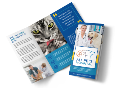 Main Veterinarian    j1i23powit Image