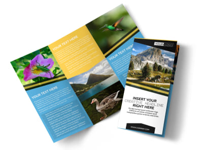 Main Nature Photography    Image