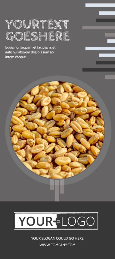 Seed Company   Side 1 Image