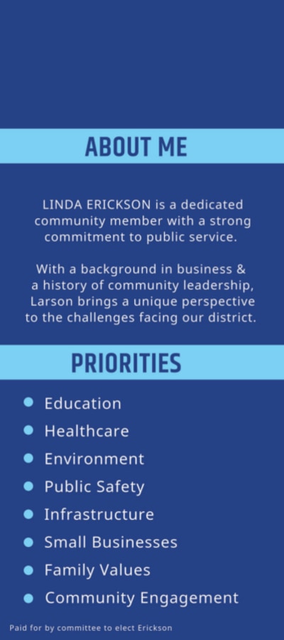 State Representative Campaign  3phj9h6rdm  Side 2 Image