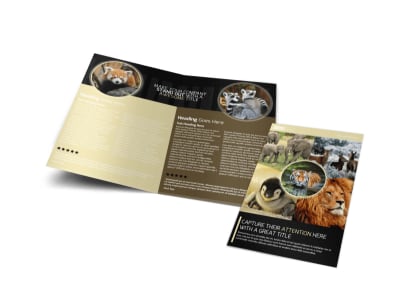 Main Wildlife Photography    Image