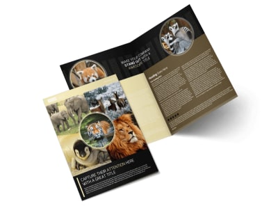 Main Wildlife Photography    Image