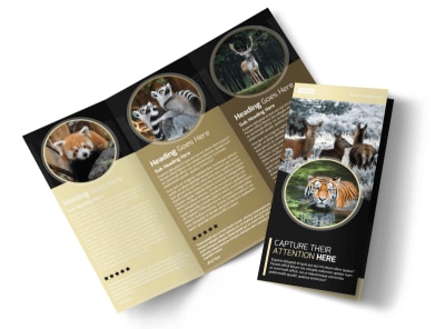 Main Wildlife Photography    Image